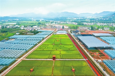 江西贛州 深耕富硒沃土，繪就現代農業新圖景