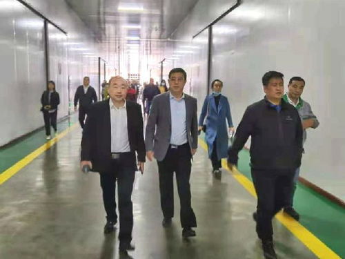 深化南北合作，共拓農(nóng)業(yè)新篇——東莞市河南商會(huì)赴黑龍江商務(wù)考察紀(jì)實(shí)